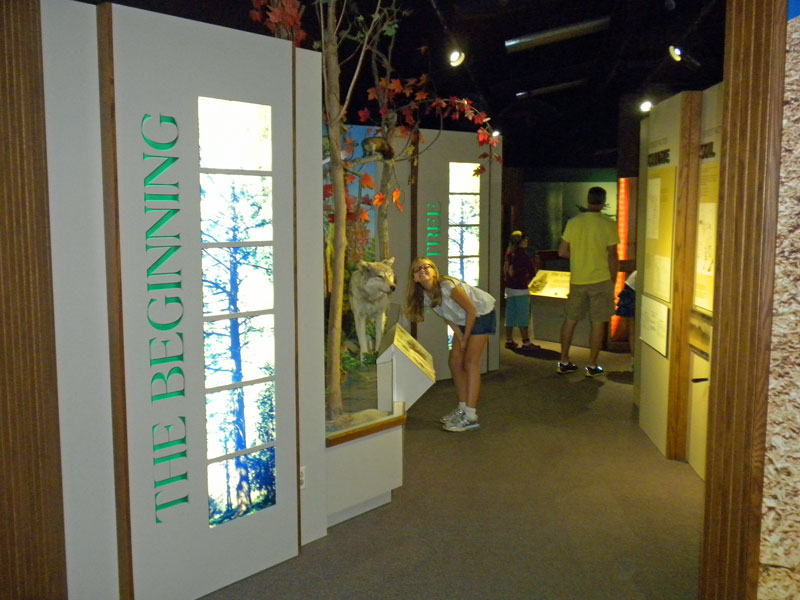 inside hartwick pines visitor center